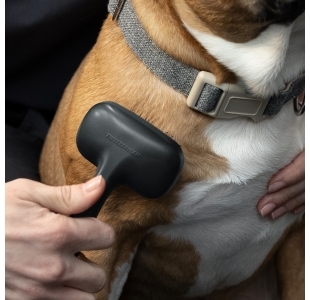 Model brushing short coat dog with Small Coated Tip Slicker Brush