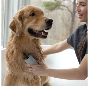 Hand holding 2-In-1 Shampoo Dispensing Bath Brush with bristles brushing dog's coat
