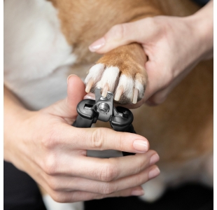 Model holding dog paw with one hand and other hand is trimming claw with Small Pet Precision Nail Clipper