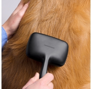 Model brushing Golden retriever dog with Large Coated Tip Slicker Brush